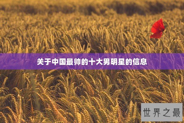 关于中国最帅的十大男明星的信息