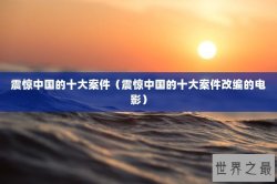 震惊中国的十大案件（震惊中国的十大案件改编的电影）