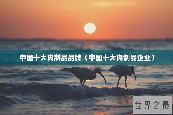 中国十大肉制品品牌（中国十大肉制品企业）