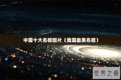 中国十大名模图片（我国最美名模）