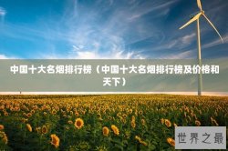 中国十大名烟排行榜（中国十大名烟排行榜及价格和天下）
