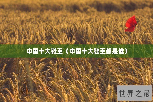 中国十大鞋王（中国十大鞋王都是谁）