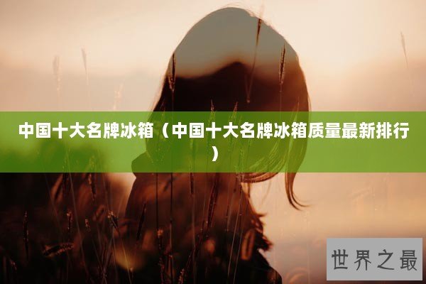 中国十大名牌冰箱（中国十大名牌冰箱质量最新排行）