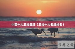 中国十大卫浴品牌（卫浴十大名牌排名）