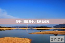 关于中国童鞋十大名牌的信息