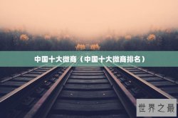 中国十大微商（中国十大微商排名）