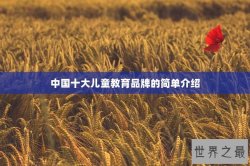 中国十大儿童教育品牌的简单介绍