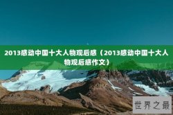 2013感动中国十大人物观后感（2013感动中国十大人物观后感作文）