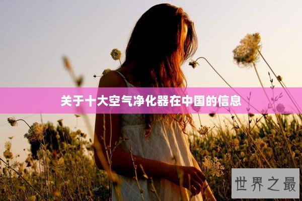 关于十大空气净化器在中国的信息