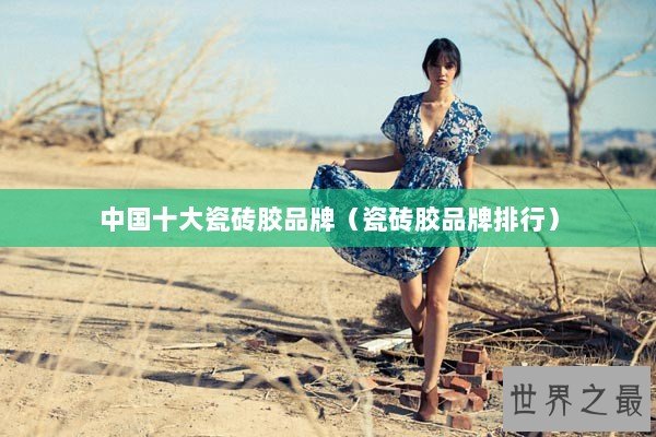 中国十大瓷砖胶品牌（瓷砖胶品牌排行）