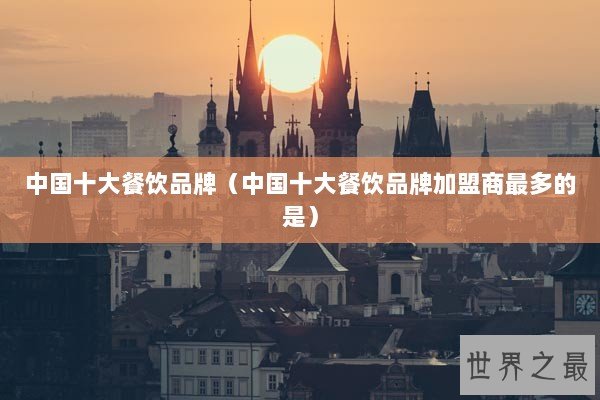 中国十大餐饮品牌（中国十大餐饮品牌加盟商最多的是）