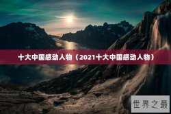 十大中国感动人物（2021十大中国感动人物）