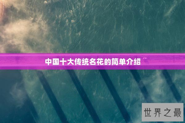 中国十大传统名花的简单介绍
