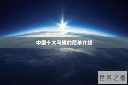 中国十大马桶的简单介绍