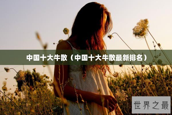 中国十大牛散（中国十大牛散最新排名）