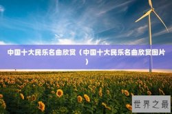 中国十大民乐名曲欣赏（中国十大民乐名曲欣赏图片）