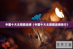 中国十大太阳能品牌（中国十大太阳能品牌排行）