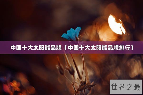 中国十大太阳能品牌（中国十大太阳能品牌排行）