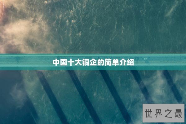 中国十大铜企的简单介绍