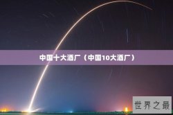 中国十大酒厂（中国10大酒厂）