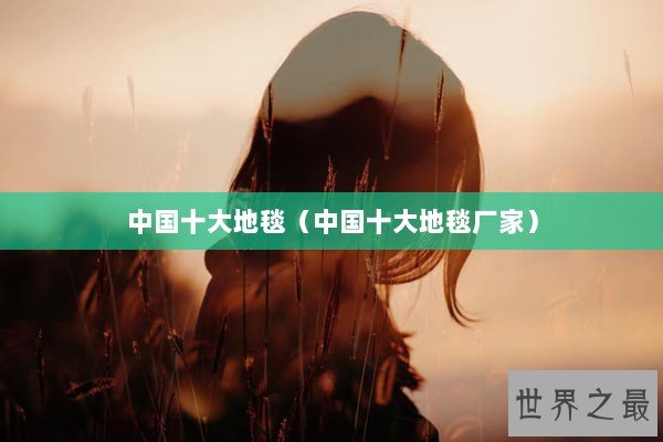 中国十大地毯（中国十大地毯厂家）