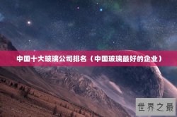 中国十大玻璃公司排名（中国玻璃最好的企业）