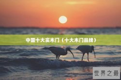 中国十大实木门（十大木门品牌）