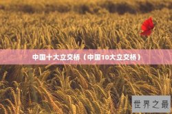 中国十大立交桥（中国10大立交桥）