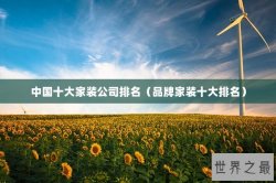 中国十大家装公司排名（品牌家装十大排名）