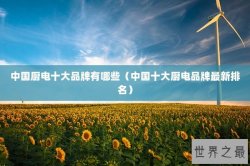 中国厨电十大品牌有哪些（中国十大厨电品牌最新排名）