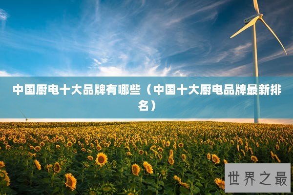 中国厨电十大品牌有哪些（中国十大厨电品牌最新排名）