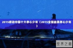 2015感动中国十大孝心少年（2015全国最美孝心少年）