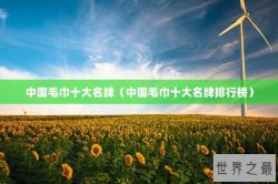 中国毛巾十大名牌（中国毛巾十大名牌排行榜）