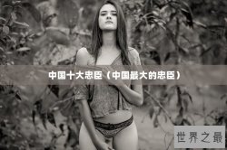 中国十大忠臣（中国最大的忠臣）