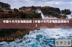 中国十大汽车电瓶品牌（中国十大汽车电瓶品牌排行）