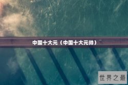 中国十大元（中国十大元帅）