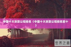 中国十大贷款公司排名（中国十大贷款公司排名前十）
