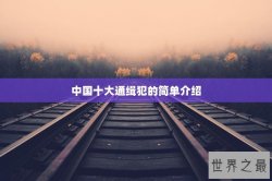 中国十大通缉犯的简单介绍