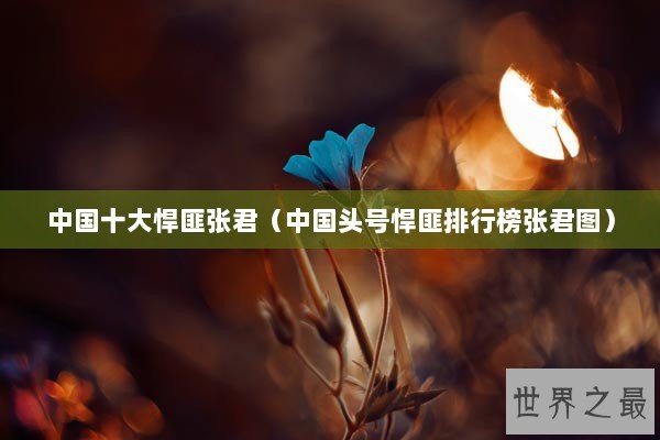 中国十大悍匪张君（中国头号悍匪排行榜张君图）