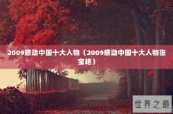 2009感动中国十大人物（2009感动中国十大人物张宝艳）