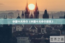 中国十大中介（中国十大中介排名）