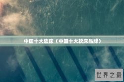 中国十大软床（中国十大软床品牌）