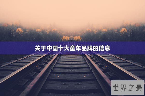 关于中国十大童车品牌的信息