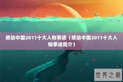 感动中国2011十大人物事迹（感动中国2011十大人物事迹简介）