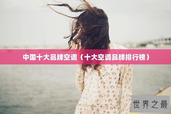 中国十大品牌空调（十大空调品牌排行榜）