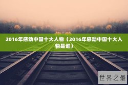 2016年感动中国十大人物（2016年感动中国十大人物是谁）