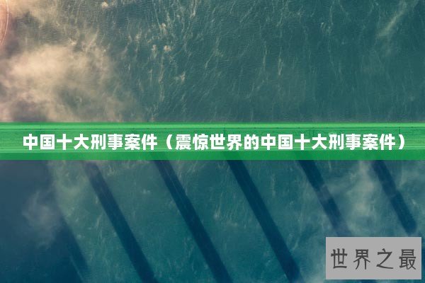 中国十大刑事案件（震惊世界的中国十大刑事案件）