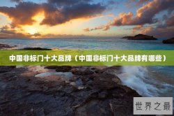 中国非标门十大品牌（中国非标门十大品牌有哪些）