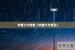 中国十大帝皇（中国十大帝王）