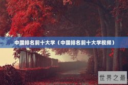 中国排名前十大学（中国排名前十大学视频）